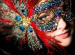 Plumes et Ornements