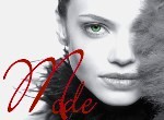 Plumes et Mode
